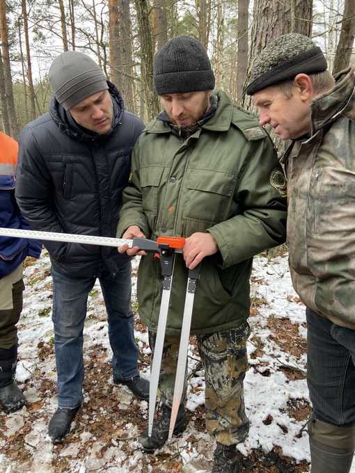 Виды таксации лесосек. Отвод и таксация лесосек. Порядок отвода и таксации лесосек. Материалы по отводу и таксации лесосеки. Таксация леса это.