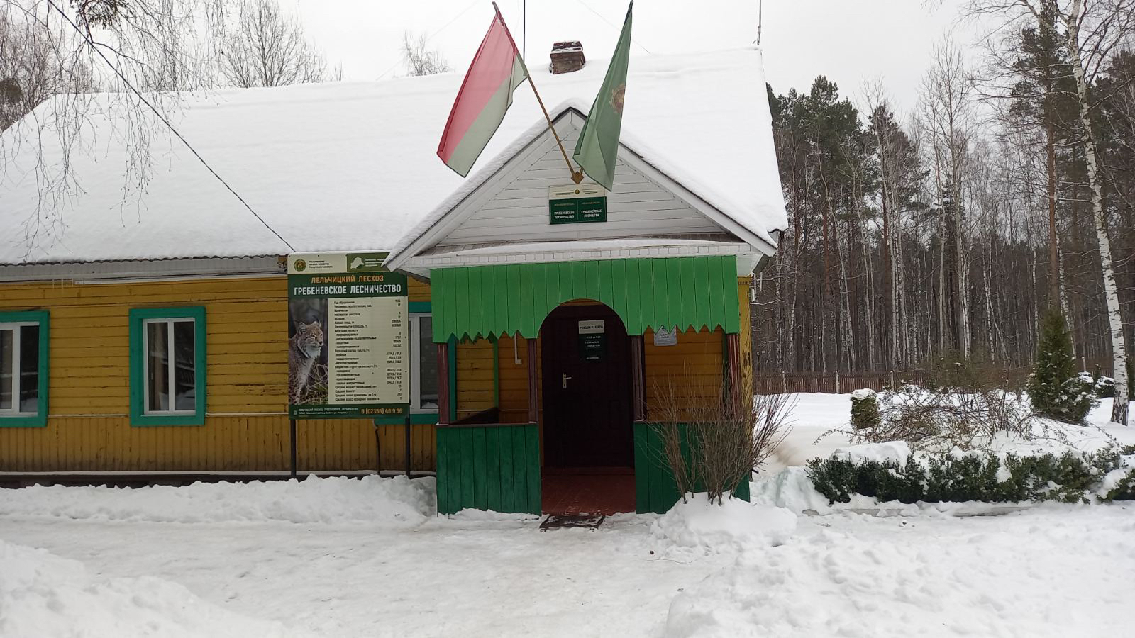 Гребеневское лесничество - Государственное лесохозяйственное учреждение  Лельчицкий лесхоз