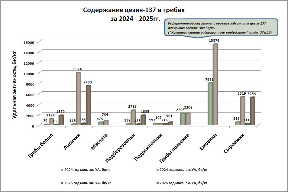 грибы 25