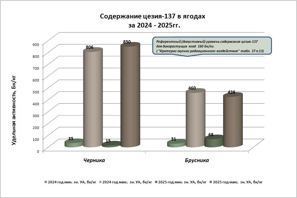 ягоды 25